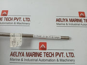 0-60°C Temperature Indicator 0/60 Gr.C L=300mm By Econosto - 320 Gm