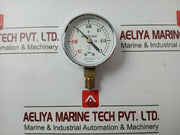 05943112-At-Pressure-Gauge-Daito-Keiki-Seisakusho-0-1-To-0-2-Mpa-60Mm-209903-2