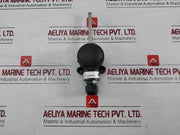 06293190944327310 Two-wire Temperature Probe With Ip68 Enclosure