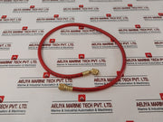 Asian First Brand Charging Hose 2500 Psi (New)