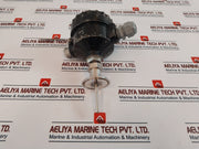 Kaysons 2Xpt100 Temperature Sensor