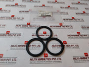 Aker 80X100X10 DIN 3760 Rotary Shaft Seal BA0046791