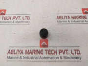 100873 100666-04 Repair Valve Kit