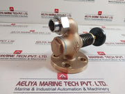 10K25 Globe Hose Valve