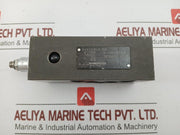 160 Bar Hydraulic Valve Bvasa10-A-160 Wandfluh