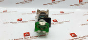 Curlee Ka-2 Pilot Light Class 9001 Contact Block