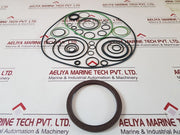 National Oilwell Varco 190592 Axial Piston Pump Seal-kit