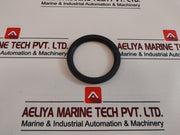 60 100 10 Seal Oil