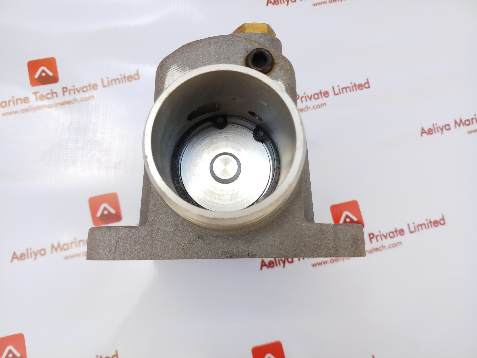 Intake Valve T041F-161