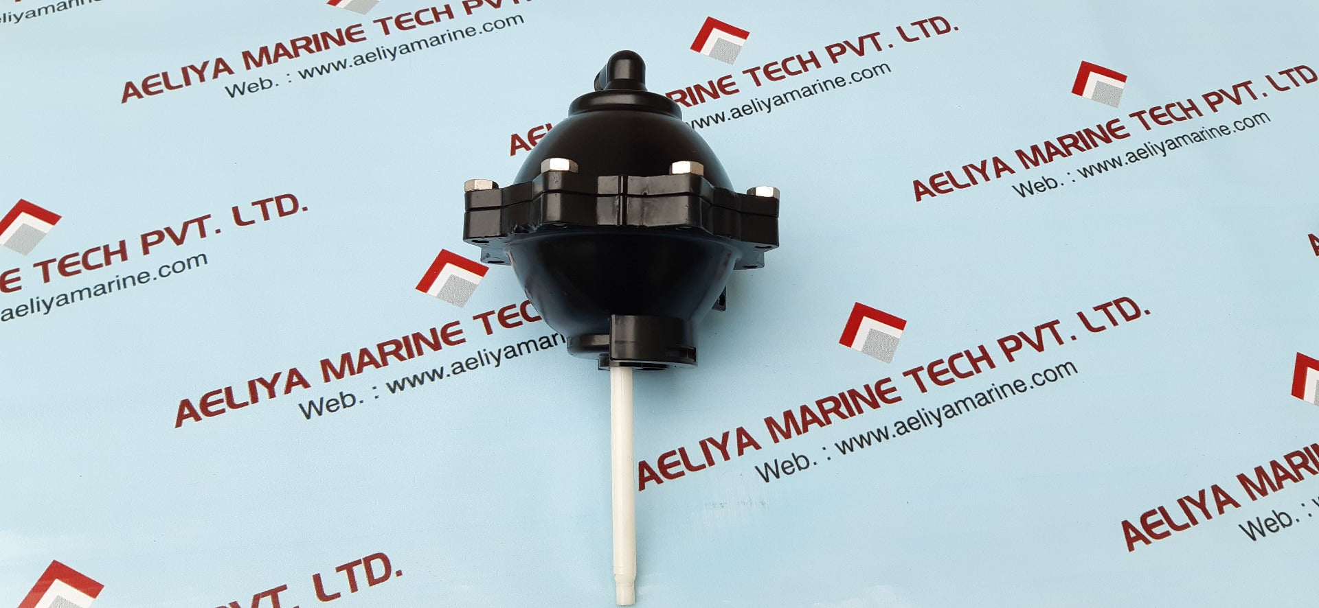 unk 43526.0 membrane