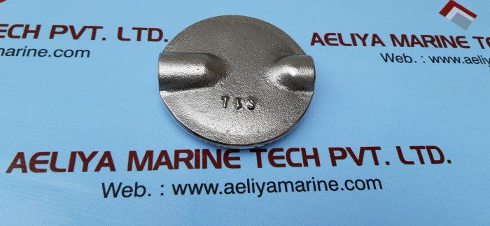 Butterfly valve disc j022048