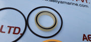 Tilt cylinder seal kit esm20