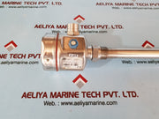 Endress+hauser liquiphant m ftl51-rgm2cb4e6a level switch