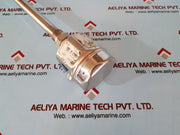 Endress+hauser liquiphant m ftl51-rgm2cb4e6a level switch