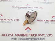 Tess en 837.1 glycerin fill pressure gauge 0-1500psi