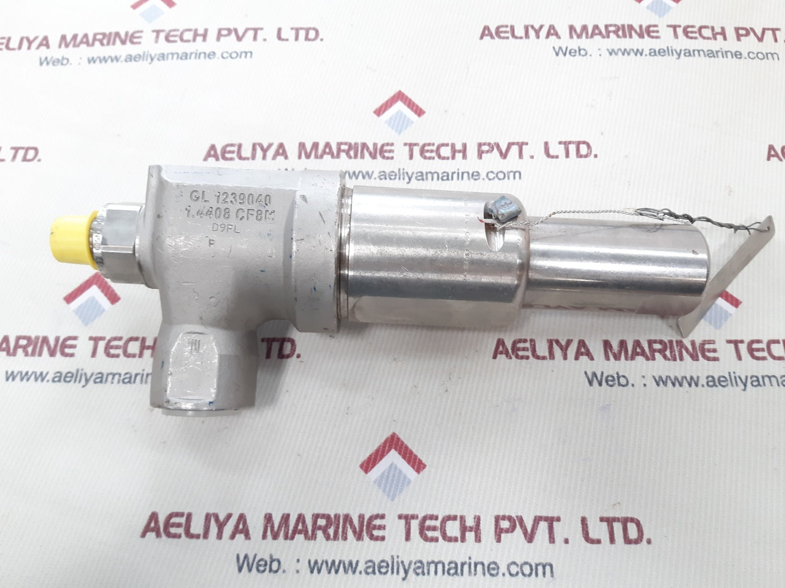 Leser 4594.2142 safety valve