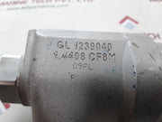 Leser 4594.2142 safety valve