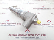 Leser 4594.2142 safety valve