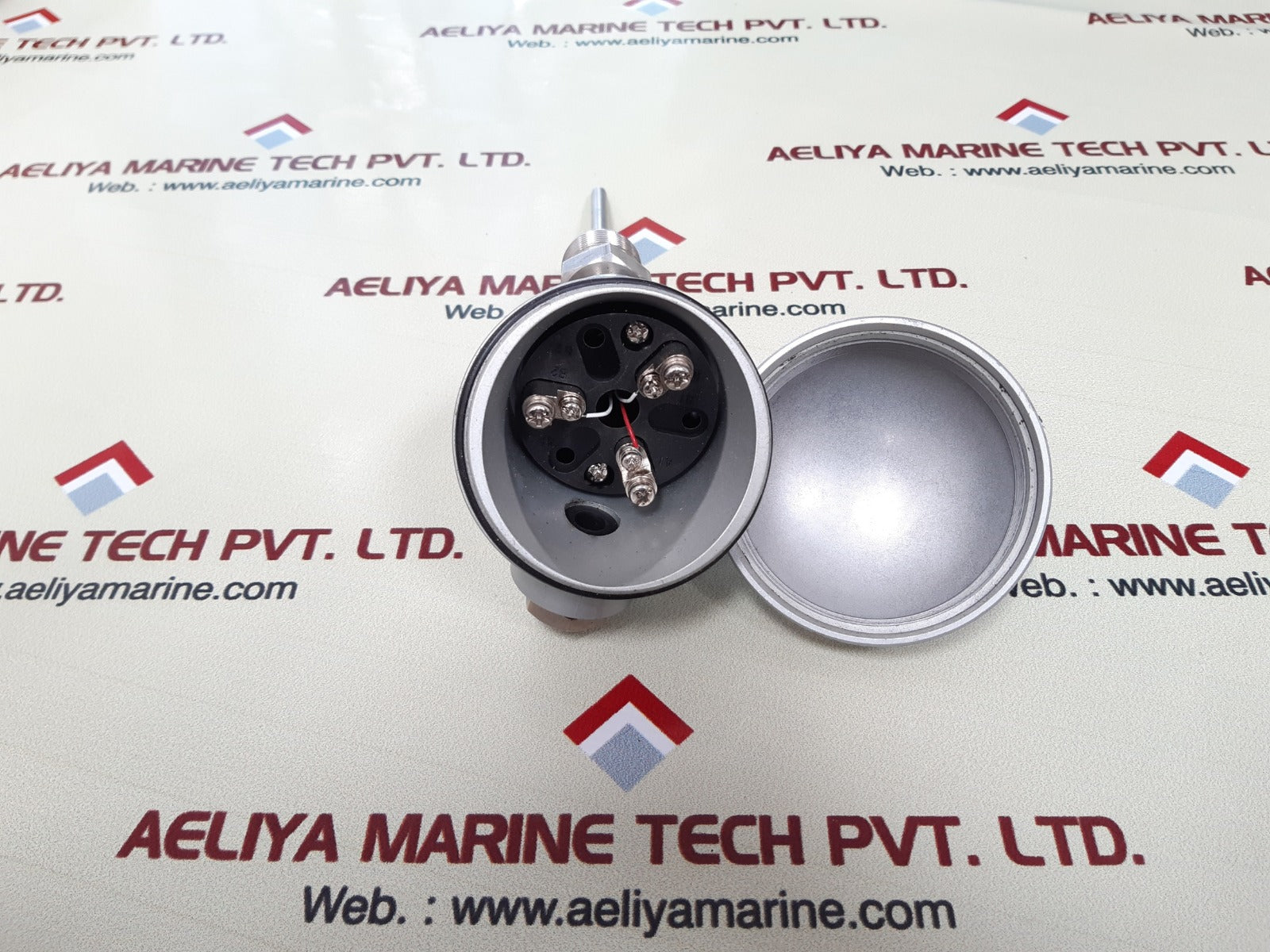Rtw pt100 thermocouple temperature sensor
