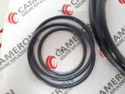 Cameron 644909-03 rebuild kit