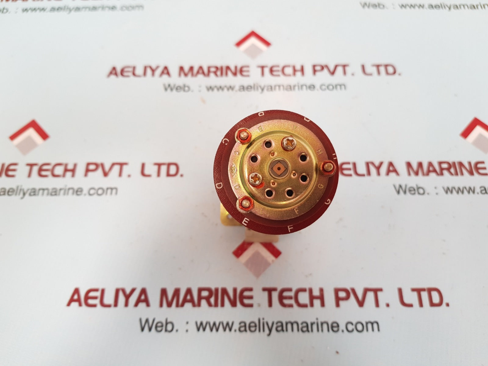 Kitazawa msw switch 100388712