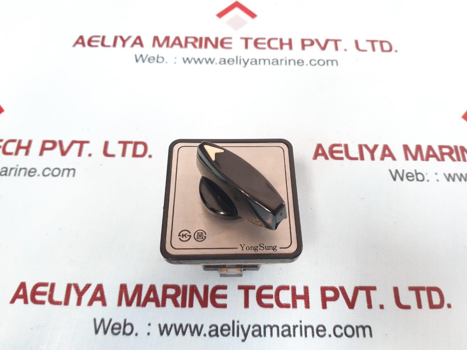 Yongsung C-60 Cam Switch Ac 250V 10A Max 600V
