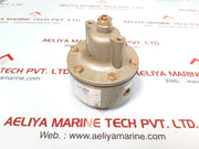 Nakakita Seisakusho Ns953A Gauge Saver, 9.9 Kg/Cm², 1.43 Kg/Cm² (N0069)