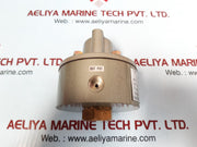 Nakakita Seisakusho Ns953A Gauge Saver, 9.9 Kg/Cm², 1.43 Kg/Cm² (N0069)