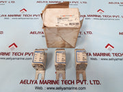 Ferraz Shawmut Dn00Ub69V63L Fuse Link Protistor 690V Ac Urb 63A