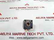 Schrader bellows solenoid coil