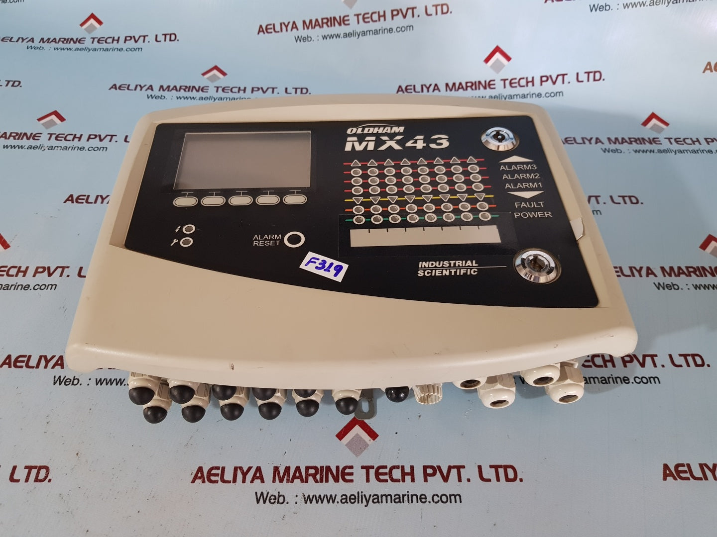 Oldham mx43 gas detection analog & digital controller