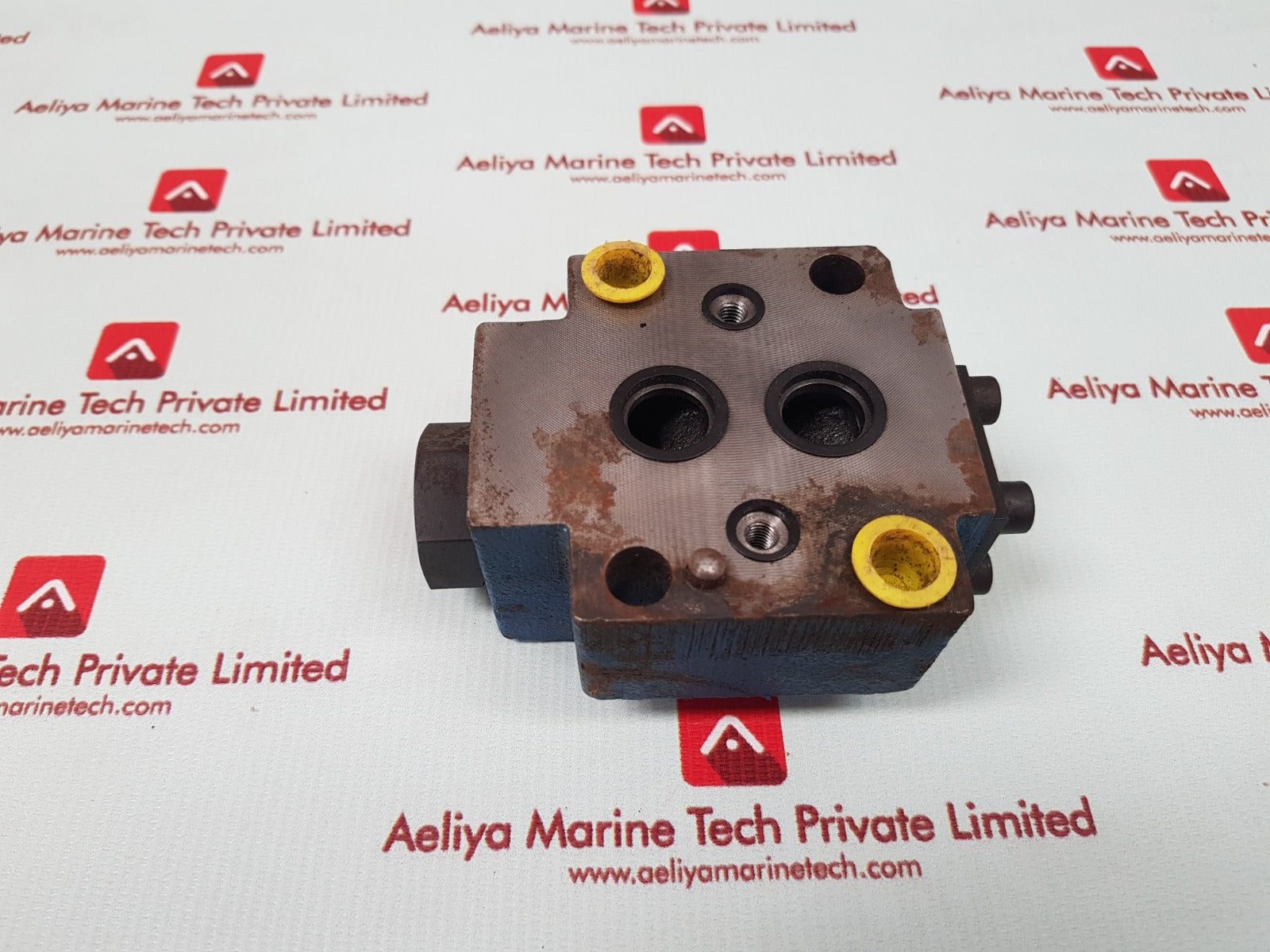 Rexroth r900443419 hydraulic check valve