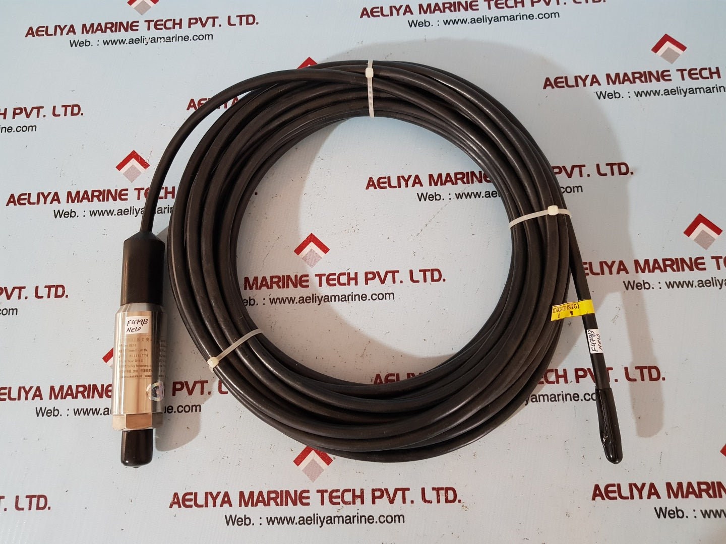 Rongde rdly-s pressure transmitter with cable