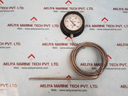 Daiichi keiki thermometer 0-100Â°c New