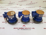 Steag hamatech tpm 010-31r-320p-0h1-015if0000 motor