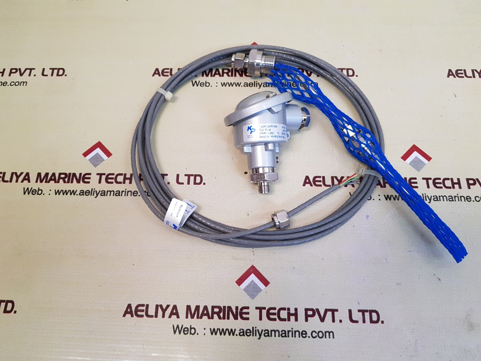 Kjaerulf pedersen 2x pt100 temperature sensor