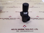 Speedaire 4zm09 regulator 300 psig