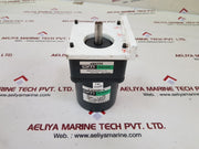 Oriental motor 4ik25gn-a induction motor with 4gn30k gear head
