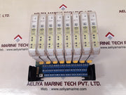 Elcon hid 2072 2 channel rtd/pot converter 250 v