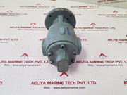 Bsm pump 13s17 rotary gear pump