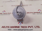 Dae Yang Ttr-sd Resistance Bulb 100 Ohm 600Â°C