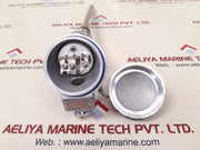 Dae Yang Ttr-sd Resistance Bulb 100 Ohm 600Â°C