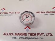 Valley instruments pressure gauge 0-100psi