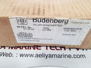 Budenberg 5214fgp standard test gauge 0-30 bar