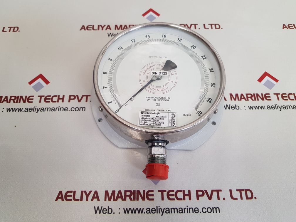 Budenberg 5214fgp standard test gauge 0-30 bar