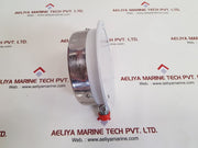 Budenberg 5214fgp standard test gauge 0-30 bar