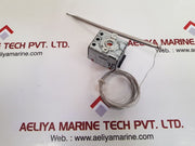 Ego 55.22316.010 thermostat 