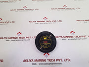 Detcon tp-524d microsafe h2s gas sensor