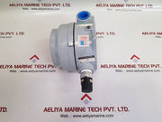Detcon tp-524d combustible microsafe h2s gas sensor