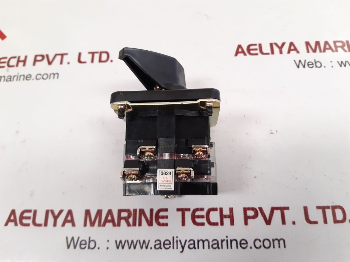 Yongsung C2201 Cam Switch 10A 250Vac